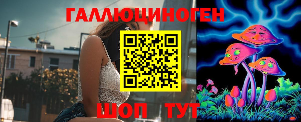 Псилоцибиновые грибы Cubensis Кулебаки