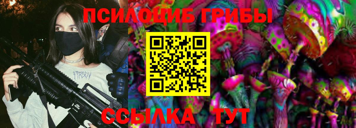 магазин  наркотиков  Галлюциногенные грибы MAGIC MUSHROOMS  Кулебаки  Вход с VPN  Псилоцибиновые грибы Psilocybine cubensis 